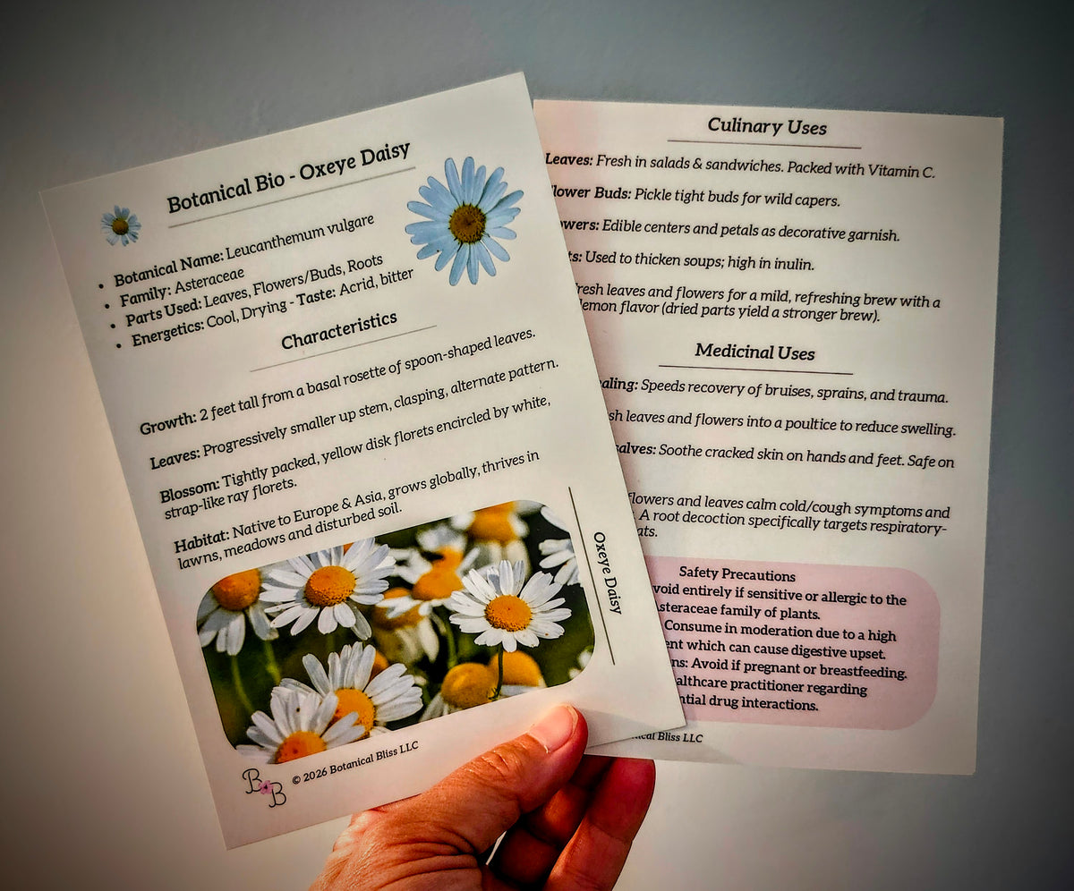 The Botanical Bliss Journey