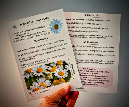 The Botanical Bliss Journey