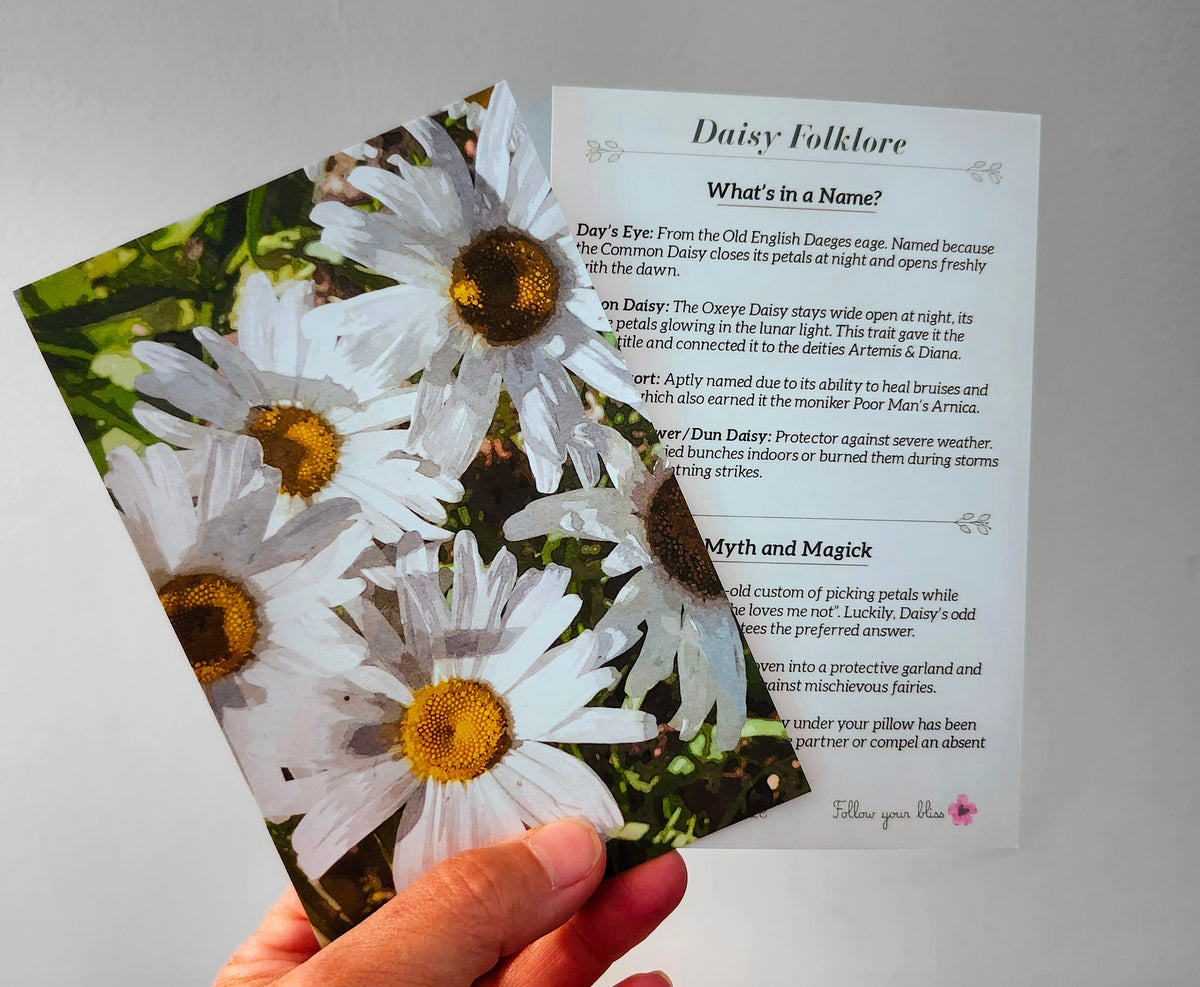 The Botanical Bliss Journey